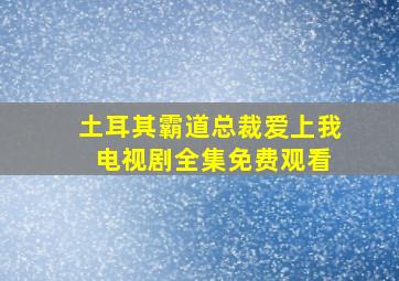 土耳其霸道总裁爱上我 电视剧全集免费观看